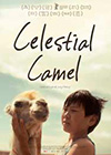 Celestial Camel