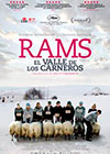 Rams. El valle de los carneros