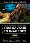 Exposiciones en Valladolid